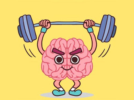 Perfect Brain 3D Puzzle