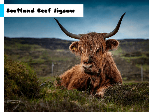 Scotland Beef Jigsaw